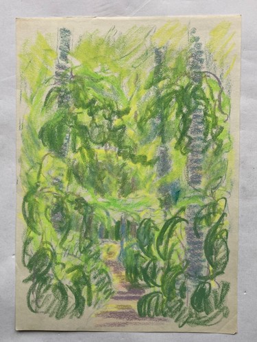 Disegno pastello post - disegno,