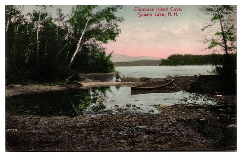 1910 chocorua island cove - 1910,
