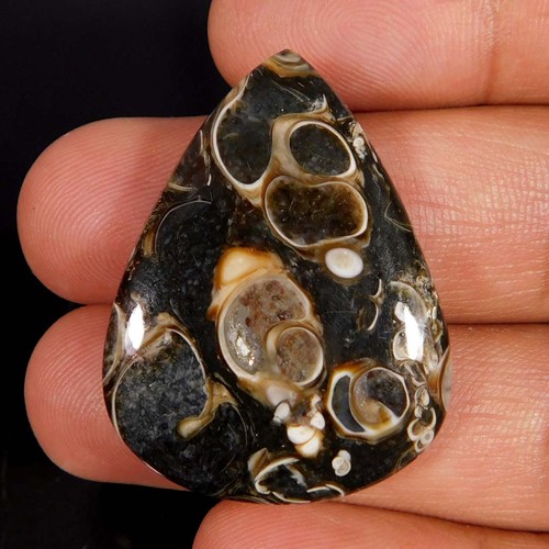 Cabochon pera fossile di - fossile,