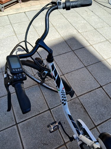 Bici con pedalata assistita