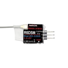 R6DSM 2.4Ghz 10 Canali Micro