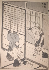 HOKUSAI FUJI FOTOCAMERA