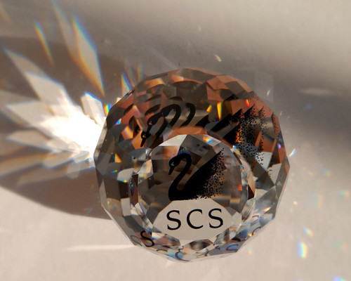Swarovski scs fermacarte cigno - fermacarte,