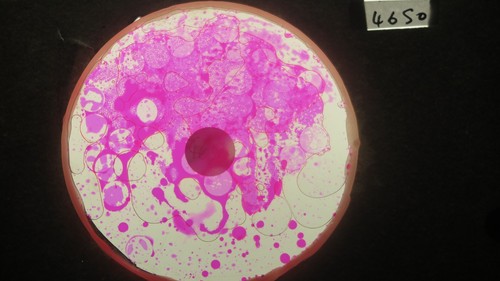 Ruota olio bubble - bubble, con