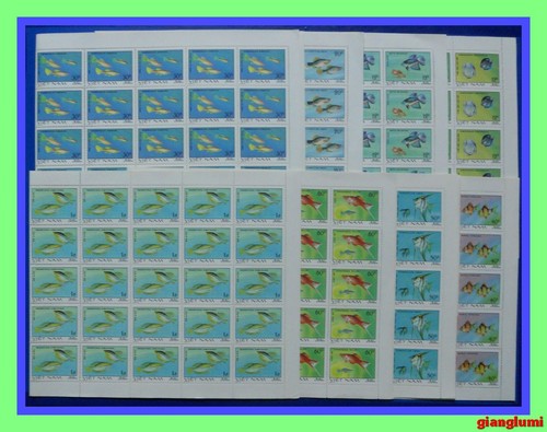Vietnam pesci ornamentali set - pesci,