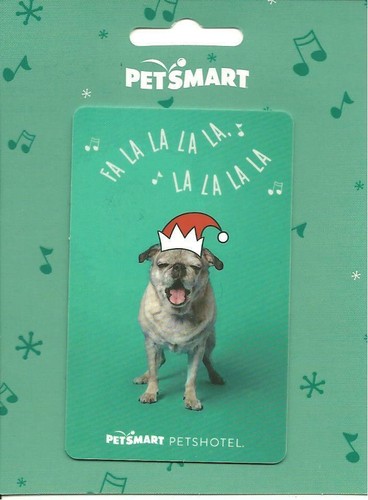 Petsmart cute dog la - petsmart,