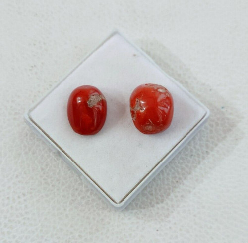 100 corallo rosso naturale - rosso,