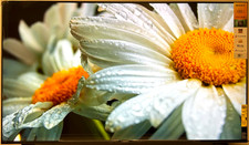 Sony Bravia 75" Smart Google