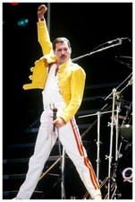 Poster Freddy Mercury 24x36