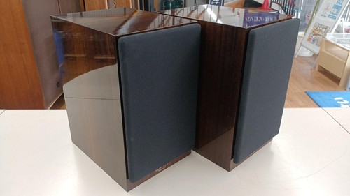 Coppia diffusori libreria - diffusori,