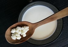 Grani di Kefir di Latte