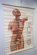 Vecchio Grande Lavagna