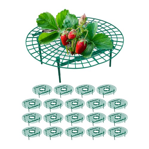 Set cerchi rete anelli - rete,