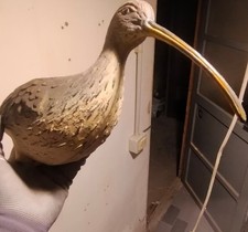 .richiamo CHIURLO posato in plastica, ornamenti per giardino, caccia.