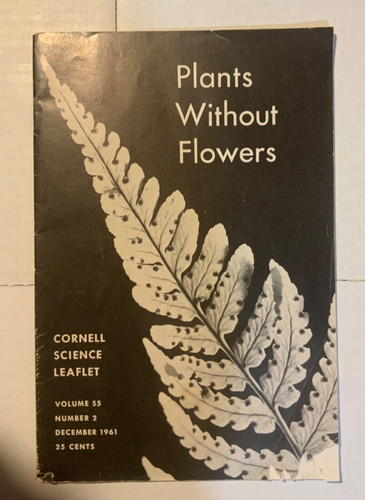 Plants without flowers - plants,