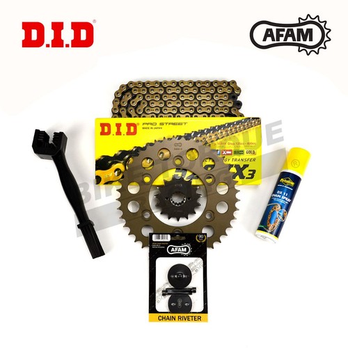Kit catena pignone did afam - kit,