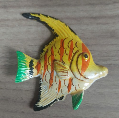 Calamita frigo pesce - frigo,