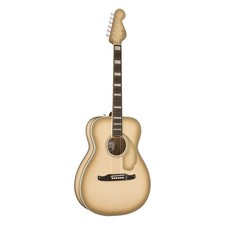 Fender Limited Edition