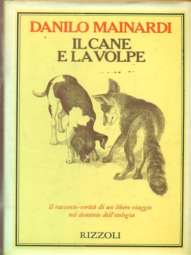 Cane volpe prima - volpe,