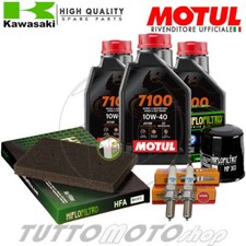 Tagliando KAWASAKI EX 300 R