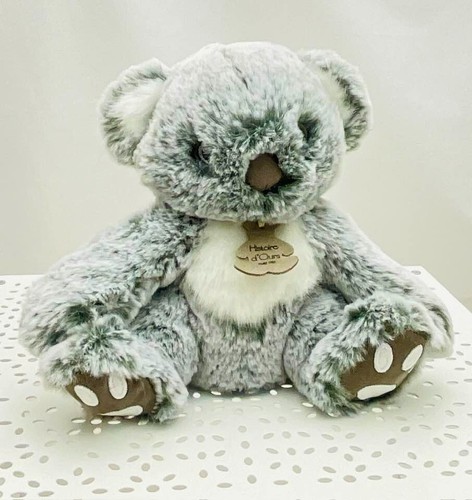 Histoire ours peluche - histoire, koala