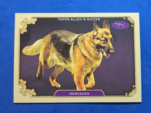 2024 mercedes topps allen - allen, &