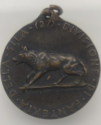 Medaglia divisione fanteria - medaglia,