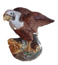 'Uccellini in volo' Aquila