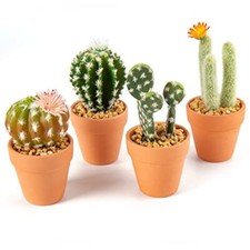 Set di 4 mini piante finte di