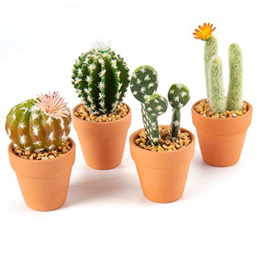 Set mini piante - set,