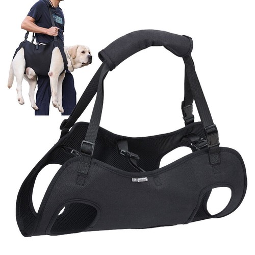 Imbracatura sollevamento cani - imbracatura,