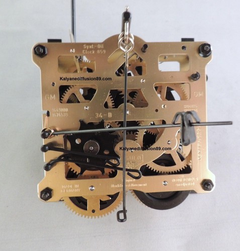 Orologio pendolo cuckoo - pendolo,