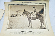 Corsa Di Cavalli Concorso La