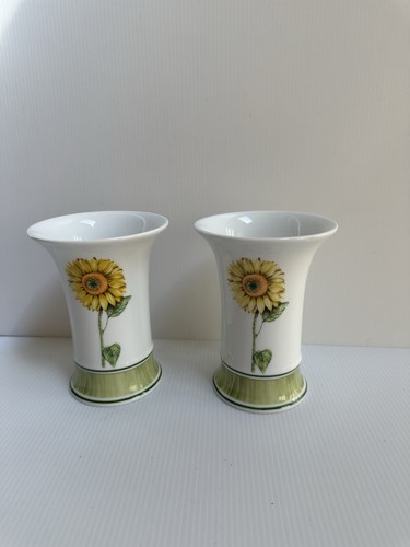 Set vasi girasole botanici - 2,
