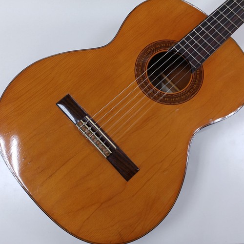Chitarra classica suzuki 34r - chitarra,