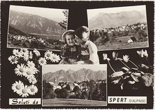 SALUTI DA SPERT D'ALPAGO -
