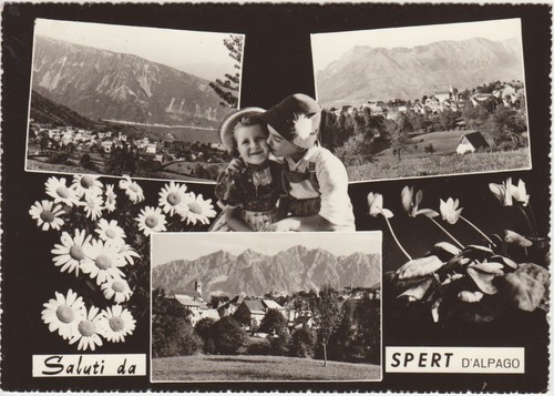 Saluti spert alpago - da,