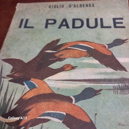 Giulio albenga padule - giulio, d'albenga