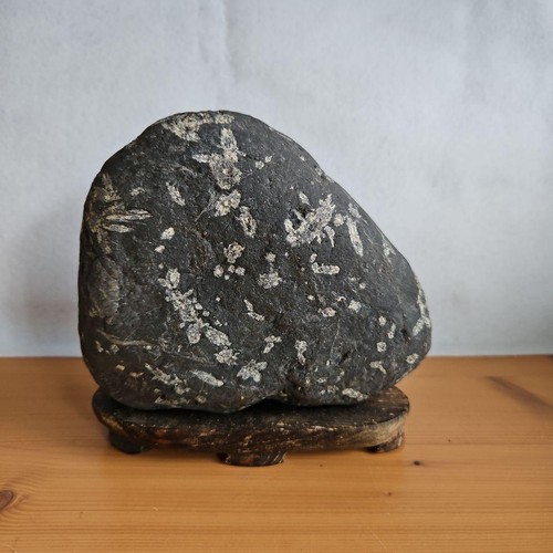 Pietra giapponese suiseki - pietra,