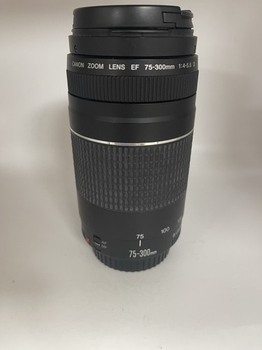 Canon 300mm obiettivo ef - obiettivo,
