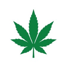 Adesivo Marijuana Foglia di Cannabis Decalcomania Erba THC 420