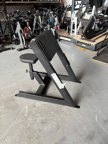 Watson preacher curl panca - watson,