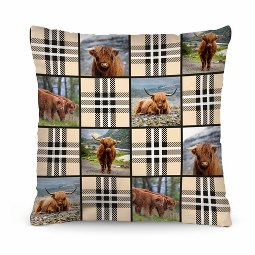 Mucca delle highland - mucca,