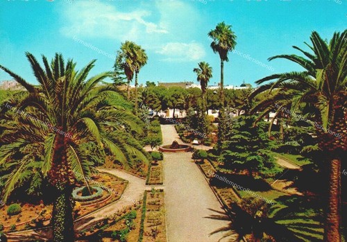 Dz29 cartolina san vito - dz29,