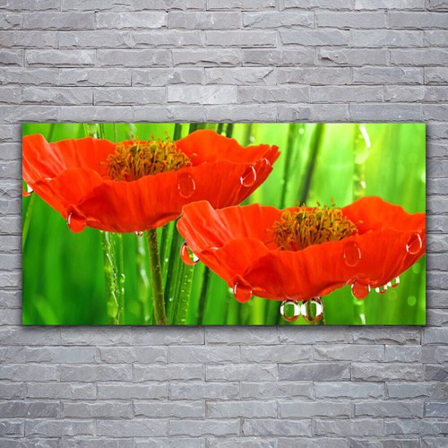 Stampa tela canvas 120x60 - stampa,