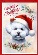 Biglietto di Natale Bichon