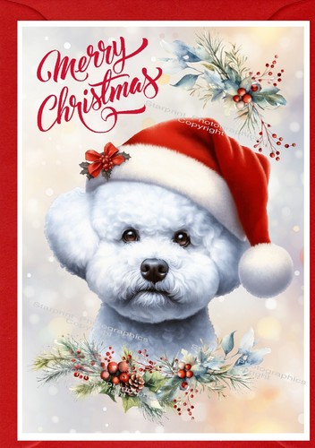 Biglietto natale bichon - di,