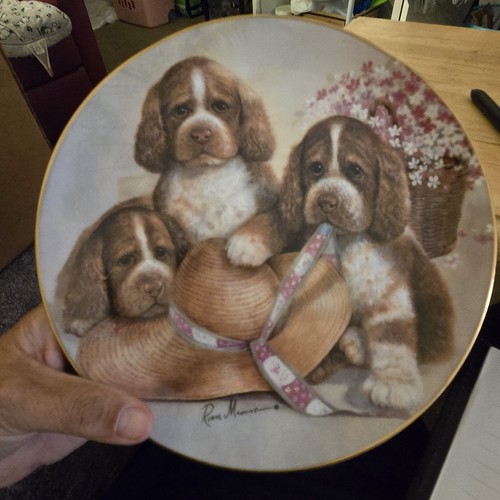 Piatto collezione cucciolo - piatto, da