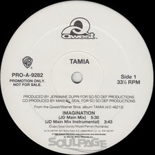 Tamia - Imagination (Bass Remix) - 12" Promo NEU