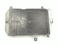 RADIATORE LIQUIDO LIQUID RADIATOR  SUZUKI BURGMAN AN 650 02-06